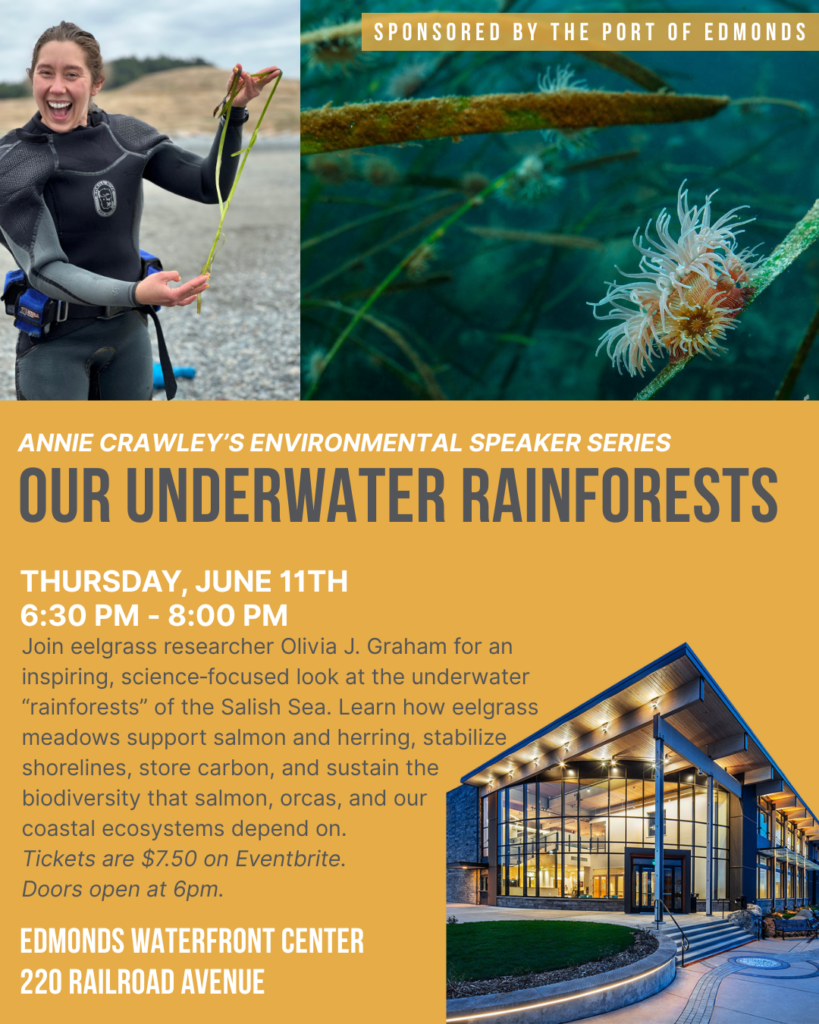 Our Underwater Rainforests IG